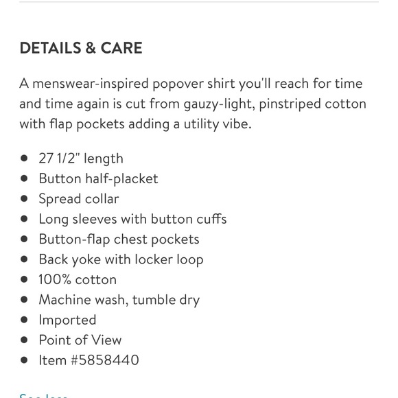 Alex Mill Stripe Oversize Popover Shirt - Picture 4 of 7